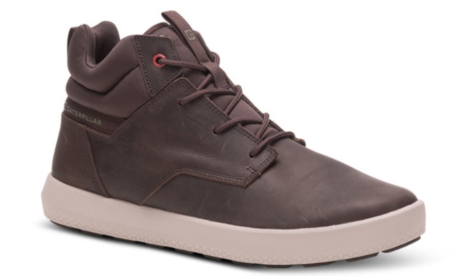 PROXY HI Coffee Bean Caterpillar