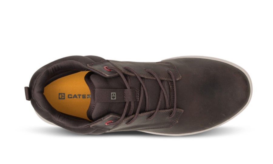 PROXY HI Coffee Bean Caterpillar