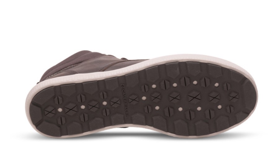 PROXY HI Coffee Bean Caterpillar